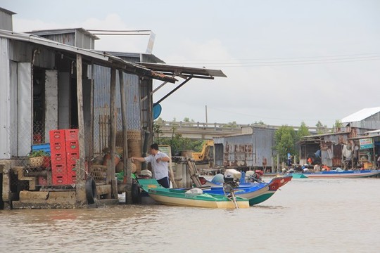 Cà[-]Mau:[-]Độc[-]đáo[-]cảnh[-]lấy[-]sông[-]làm[-]mặt[-]tiền[-]nhà